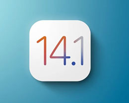 苹果发布 iOS 14.1正式版：iPhon苹果试玩app哪个平台好e 12/mini/Pro/Max 预计首发搭载