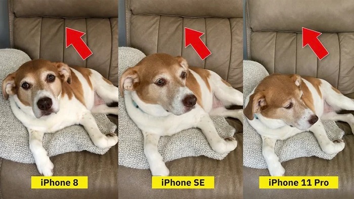 苹果新款 iPhone SE 照相评测：对比 iPhone 8 更加出色