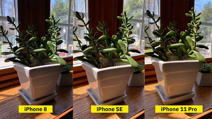 苹果新款 iPhone SE 照相评测：对比 iPhone 8 更加出色